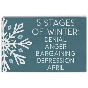 5 Stages of Winter - Rustic 5.25 x 3.5" Wood Sign - Small Talk Rectangles